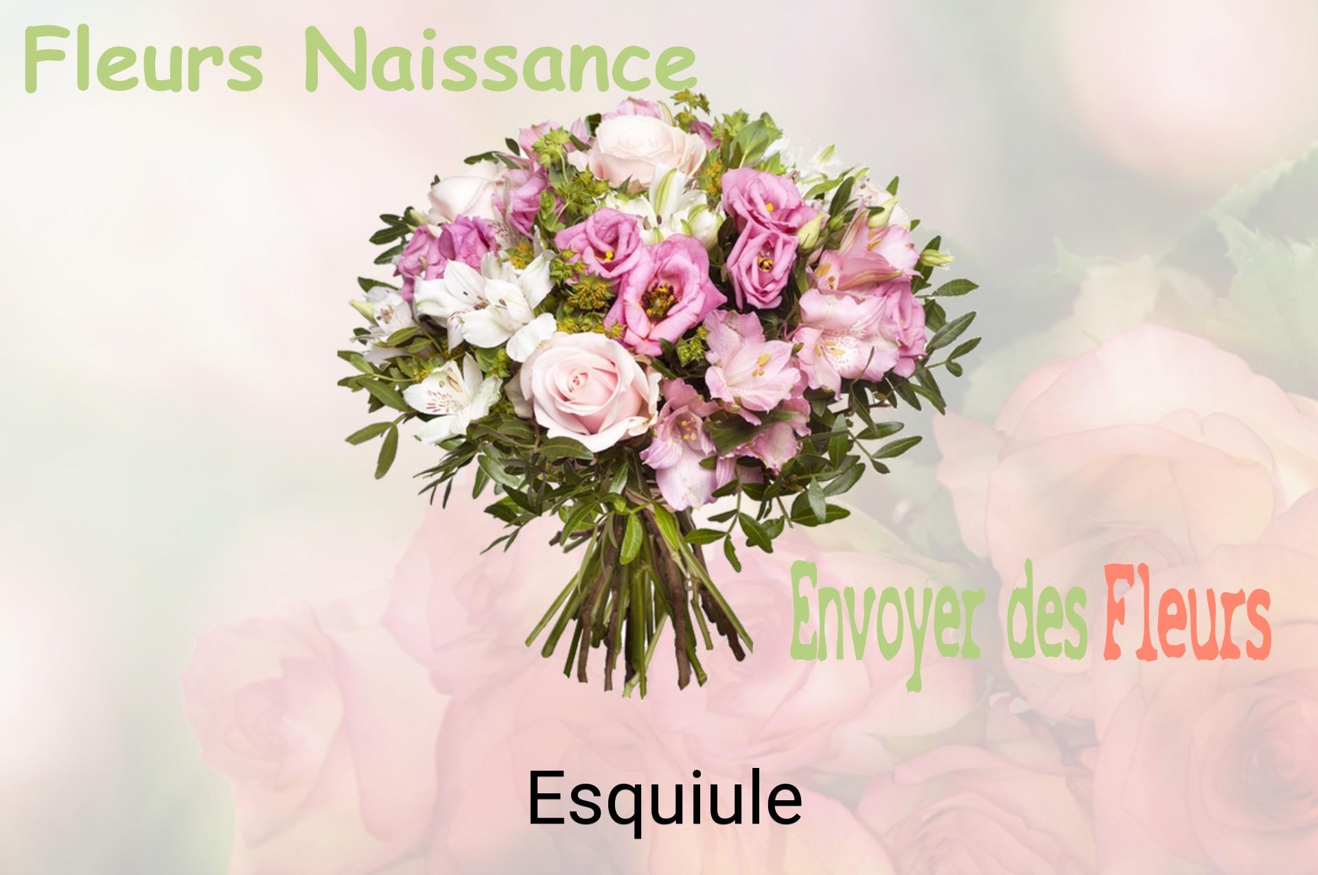 Bouquet de fleurs de naissance livré à Esquiule