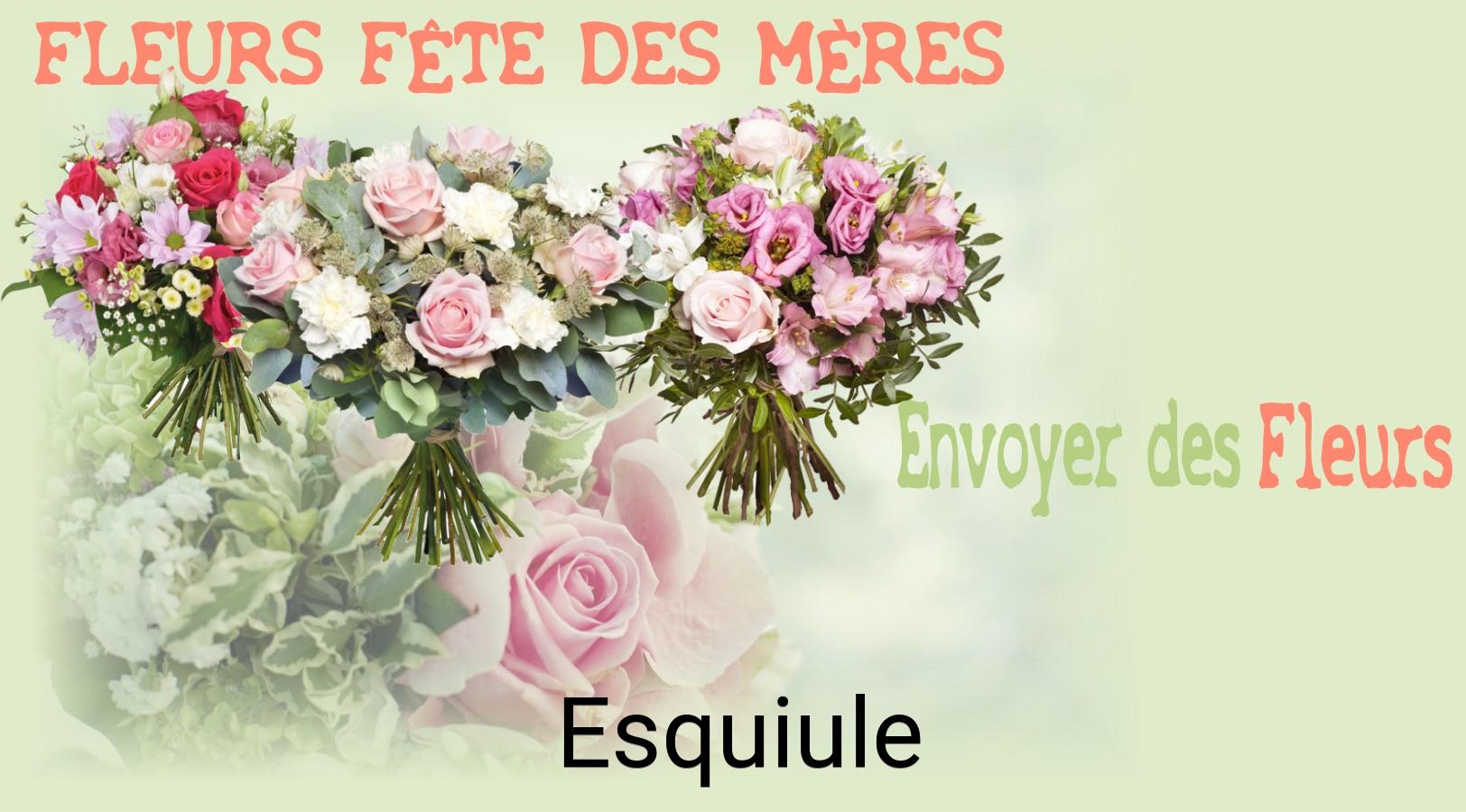 Bouquet de Fête des Mères livré à Esquiule